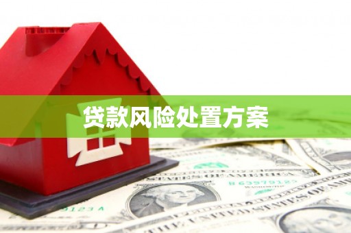 河东贷款风险处置方案