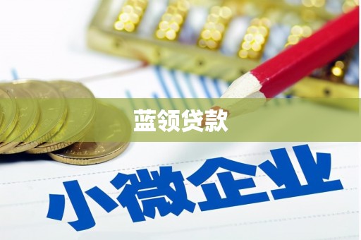 河东蓝领贷款