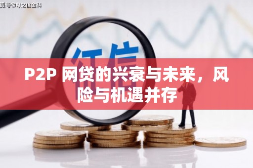 河东P2P 网贷的兴衰与未来，风险与机遇并存