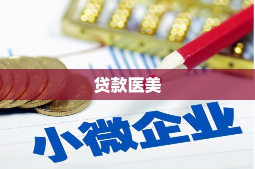 河东贷款医美