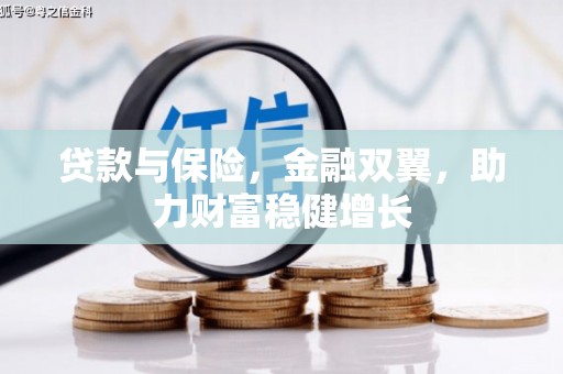 河东贷款与保险，金融双翼，助力财富稳健增长