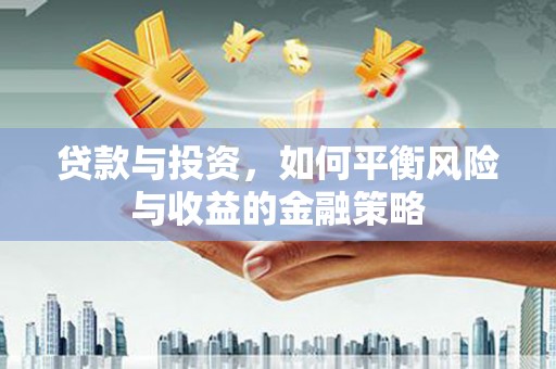 河东贷款与投资，如何平衡风险与收益的金融策略