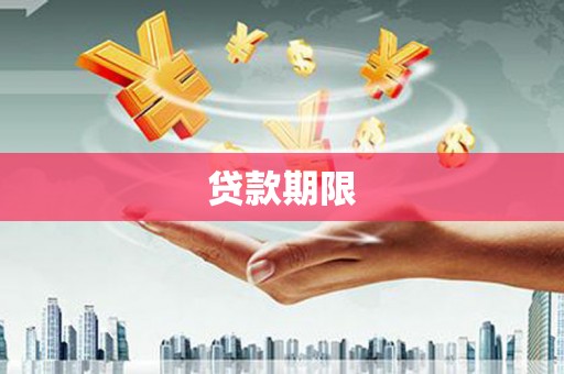 河东贷款期限