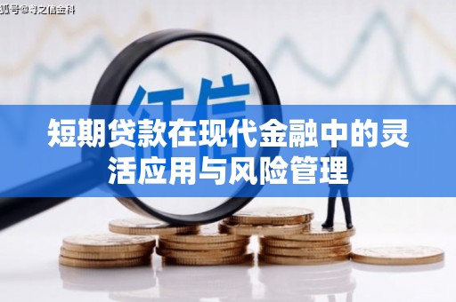 河东短期贷款在现代金融中的灵活应用与风险管理