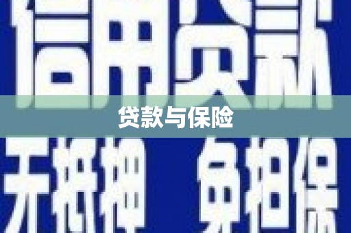 河东贷款与保险