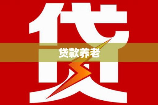 河东贷款养老