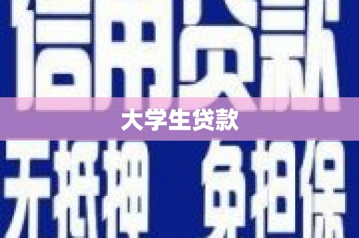 河东大学生贷款
