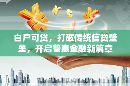 河东白户可贷，打破传统信贷壁垒，开启普惠金融新篇章
