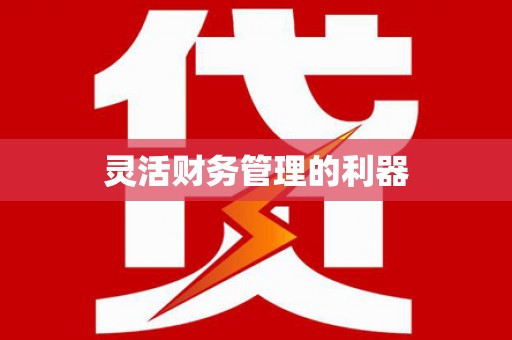 河东灵活财务管理的利器