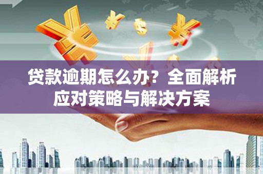 河东贷款逾期怎么办？全面解析应对策略与解决方案