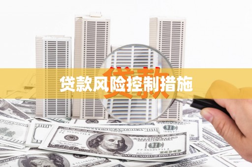 河东贷款风险控制措施