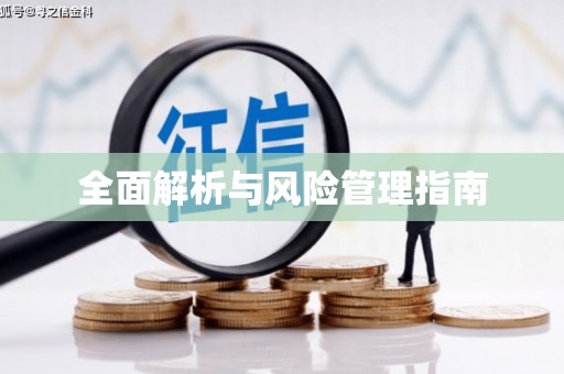 河东全面解析与风险管理指南