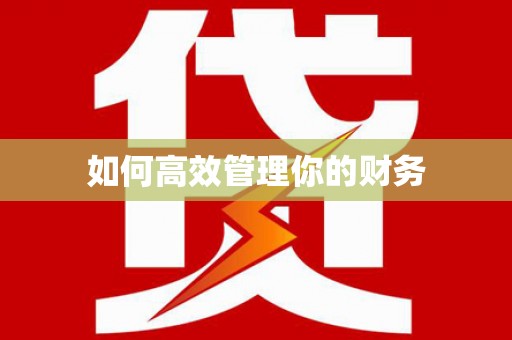 河东如何高效管理你的财务
