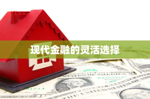 河东现代金融的灵活选择