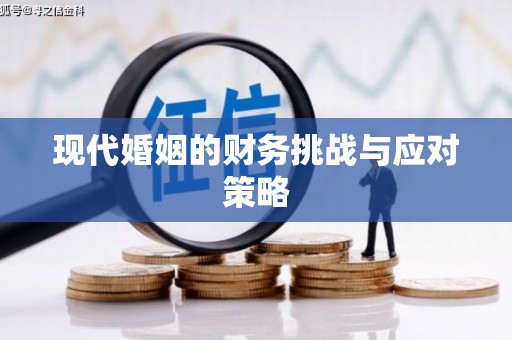 河东现代婚姻的财务挑战与应对策略
