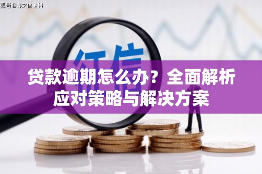河东贷款逾期怎么办？全面解析应对策略与解决方案