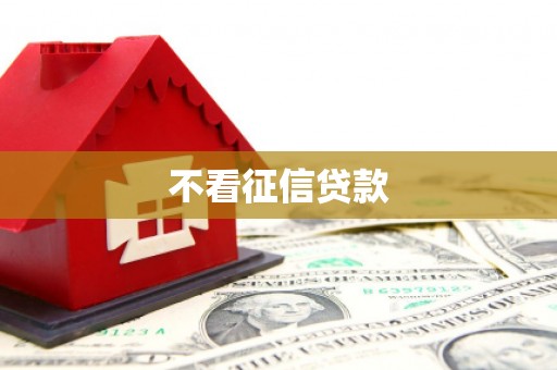 河东不看征信贷款