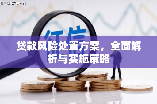 河东贷款风险处置方案，全面解析与实施策略