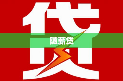 河东随薪贷