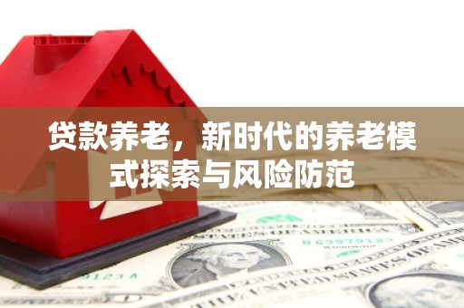河东贷款养老，新时代的养老模式探索与风险防范
