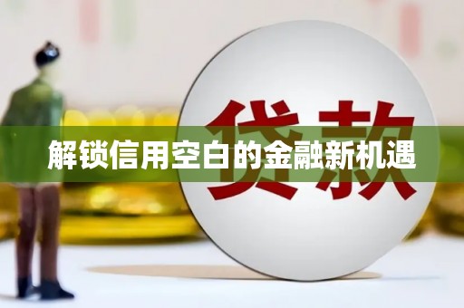 河东解锁信用空白的金融新机遇