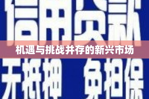 河东机遇与挑战并存的新兴市场