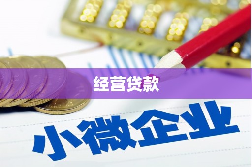 河东经营贷款