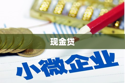 河东现金贷