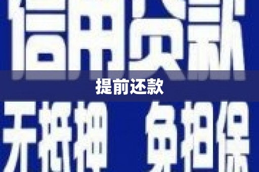 河东提前还款