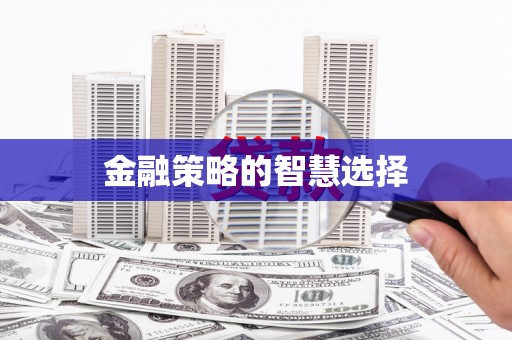 河东金融策略的智慧选择