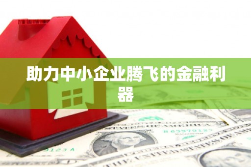 河东助力中小企业腾飞的金融利器