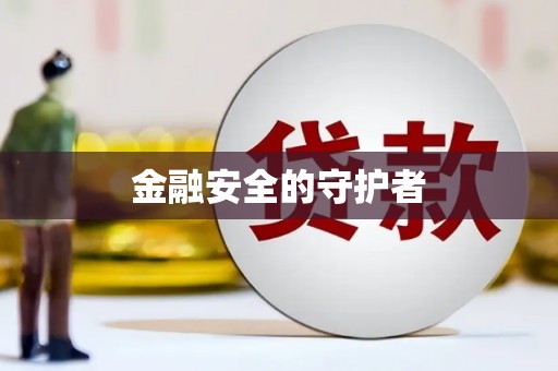 河东金融安全的守护者