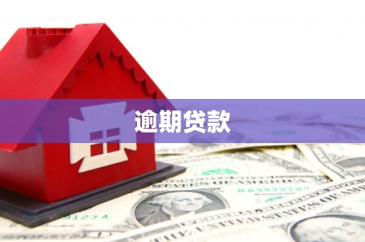 河东逾期贷款