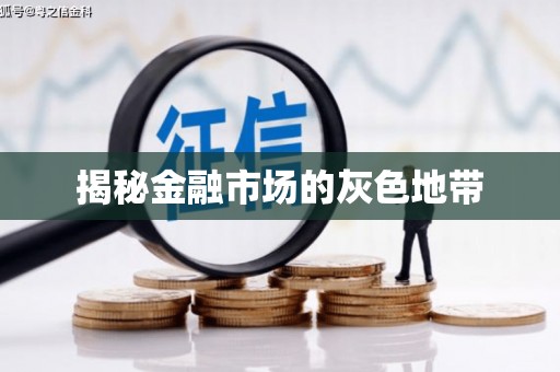 河东揭秘金融市场的灰色地带