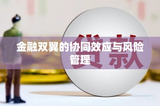 河东金融双翼的协同效应与风险管理