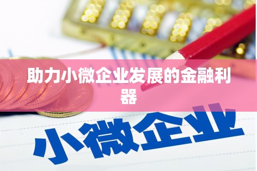 河东助力小微企业发展的金融利器
