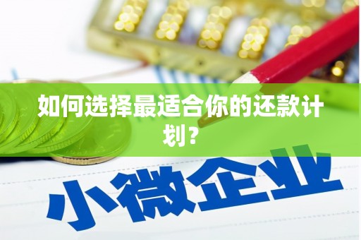 河东如何选择最适合你的还款计划？