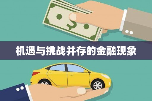 河东机遇与挑战并存的金融现象
