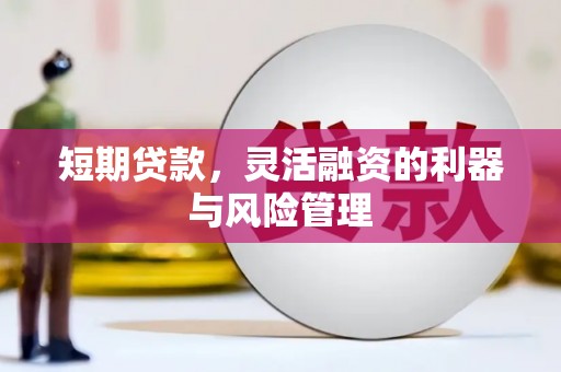 河东短期贷款，灵活融资的利器与风险管理