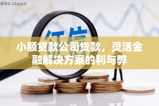 河东小额贷款公司贷款，灵活金融解决方案的利与弊