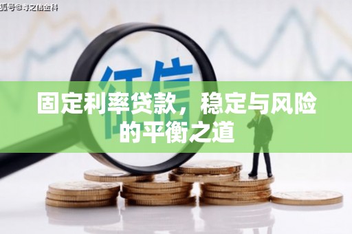 河东固定利率贷款，稳定与风险的平衡之道