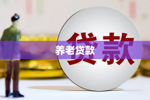 河东养老贷款