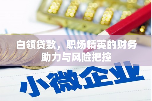 河东白领贷款，职场精英的财务助力与风险把控