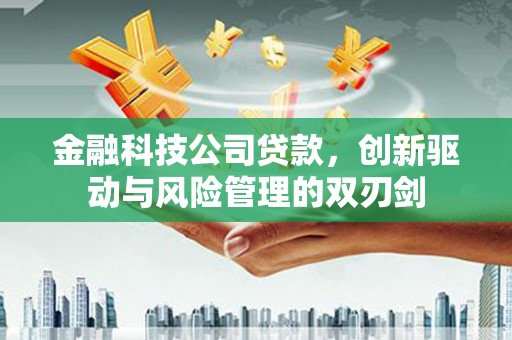 河东金融科技公司贷款，创新驱动与风险管理的双刃剑