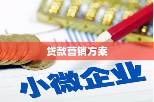 河东贷款营销方案
